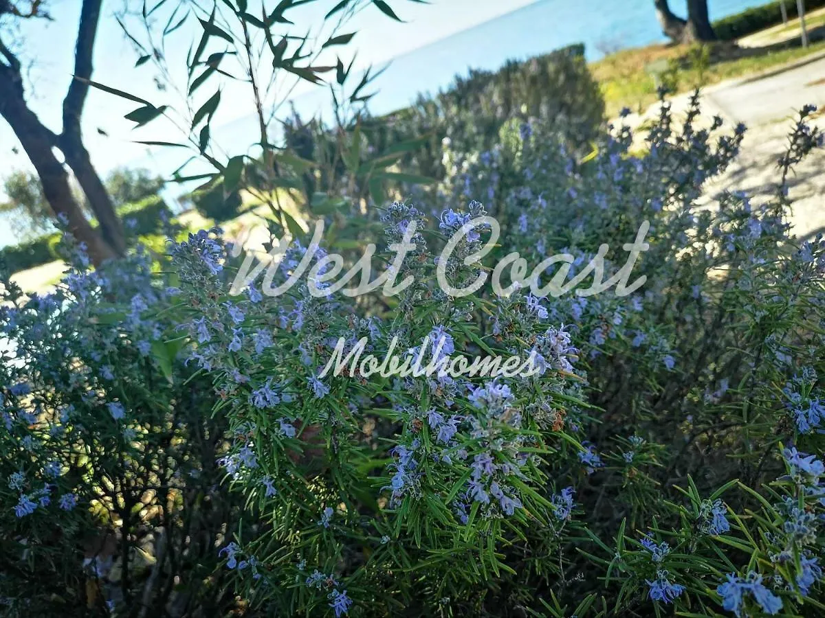 Holiday park West Coast Mobilhome With Xxl Terrace In Naturist Resort Solaris Fkk Tar-Vabriga